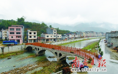 信宜市钱排镇双合村:三华李名村重现生机(图)